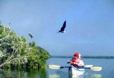 Mexico-Baja-Sea of Cortez Islands & Whale Watching